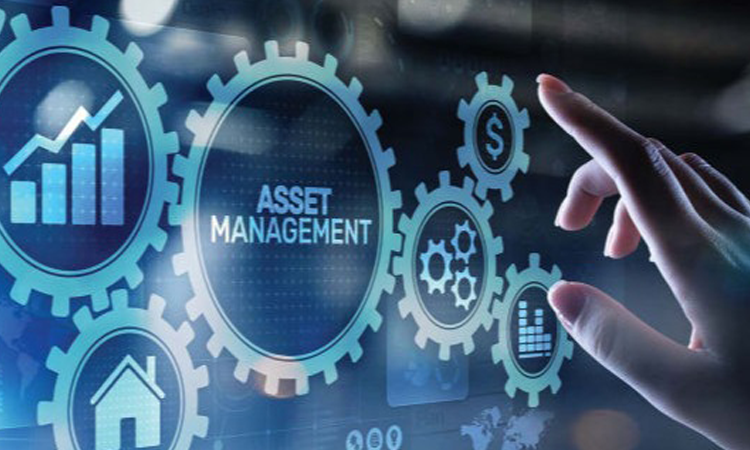 Asset-Management